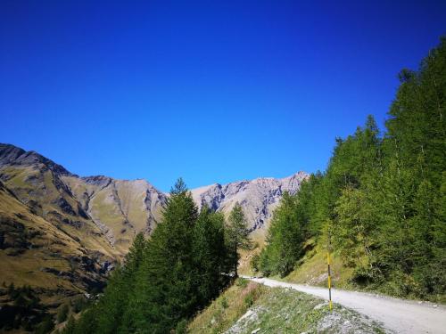  In centro , ma a due passi dal bosco in Bardonecchia
