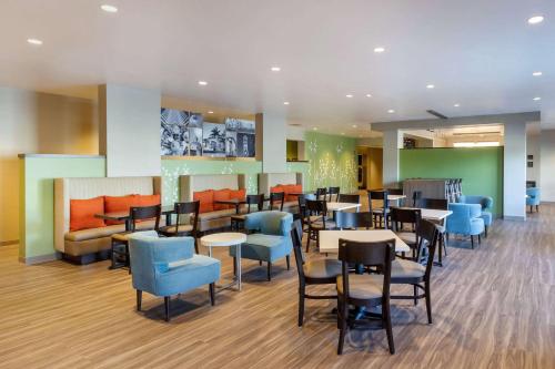 Sleep Inn & Suites Tampa South - image 5