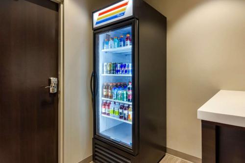 Sleep Inn & Suites Tampa South - image 2