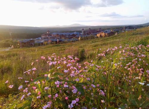 The View Changbai Mountain Mgallery