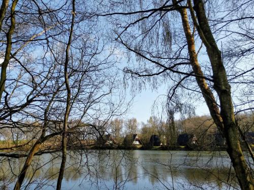 Fishermans Lodges, , Kent