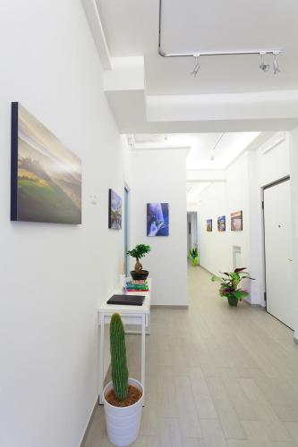 Elements Guest House Roma 4