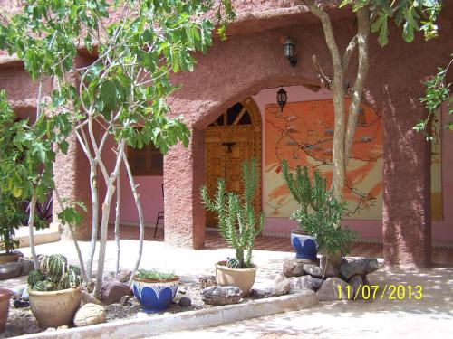花園, Maroc Galacx in 提加米里迪度北
