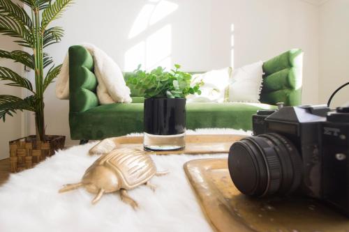  Lovely Loft in Coimbra Historic Center in Coimbra