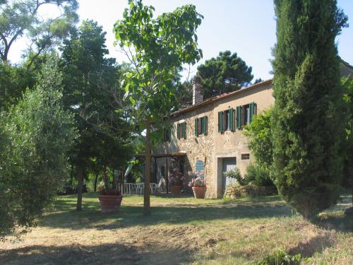 GRANDE SOLE - Apartment - Montescudaio