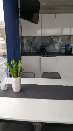 Hausboot - Domy na wodzie - Houseboat Porta Mare - Odradream, Stettino (foto 6)