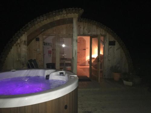 Brynllwyd Glamping in 德維爾布里奇