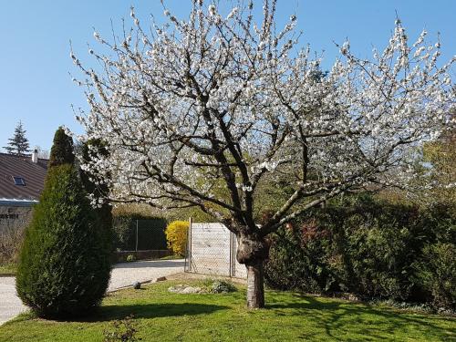 Hage, Le Clos Magedon in Meulan