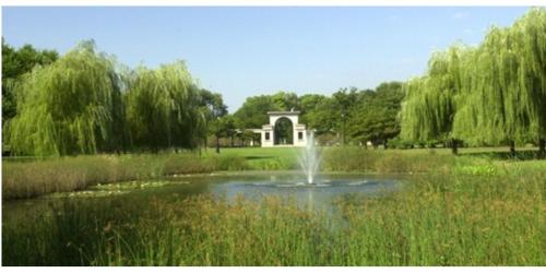 Perfect place to enjoy the city or just relax in North Lawndale