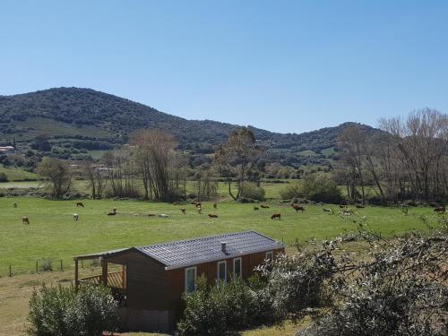 Ferme de Chiuni