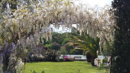 Domaine de Millox - image 14