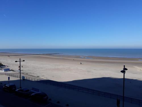  Anaconda in Middelkerke