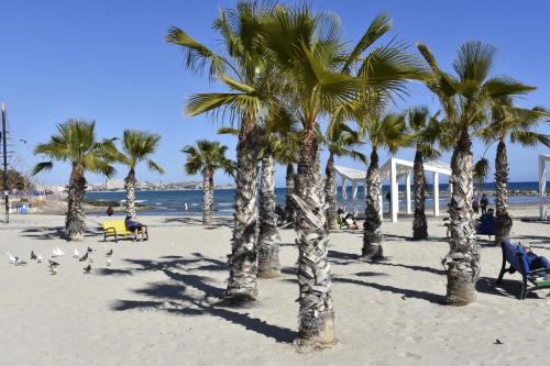 Lovely apartment near the Port of Alicante