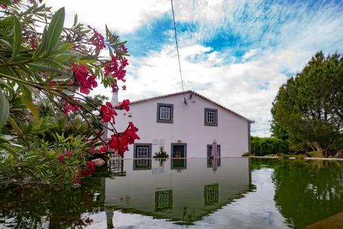 Casas do Vale da Rainha