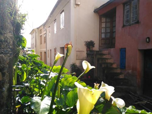  Casa da Granxeira in Rinlo