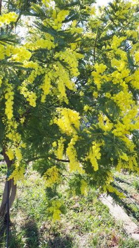  Odmor za dušu, Unterkunft in Pakoštane