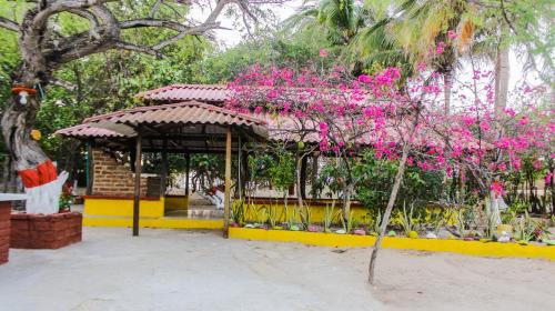 Playa Samara Hostel