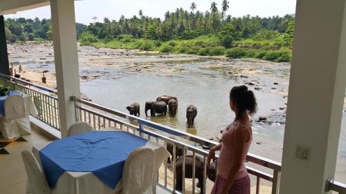 . Hotel Pinnalanda - NEW DEAL! Exclusive Offers on Pickups Available!
