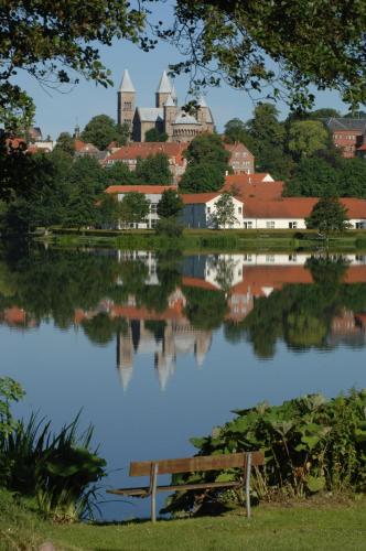 Golf Hotel Viborg - image 10