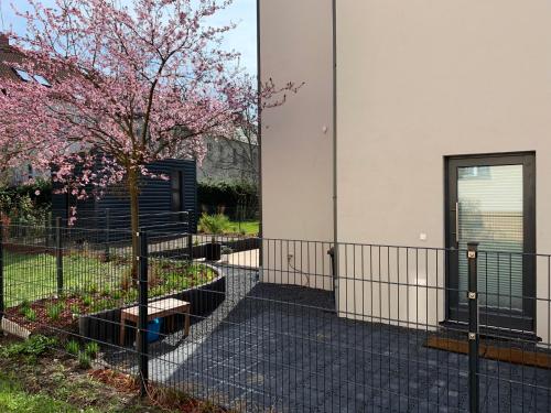 Townhouse Apartment Potsdam 391m von Innenstadt entfernt