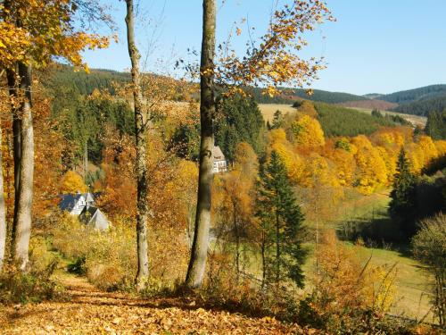 Gasthof Braun - image 4