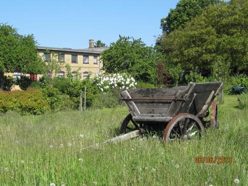 Nygammelsø Bed & Breakfast - image 7