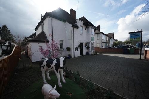 Oxford Guest House