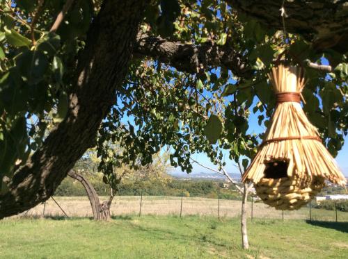 Agriturismo Le Terre d'Abruzzo Country House