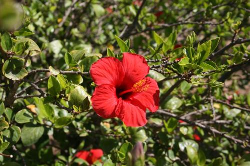 Residence Punta Longa Residence Punta Longa图片