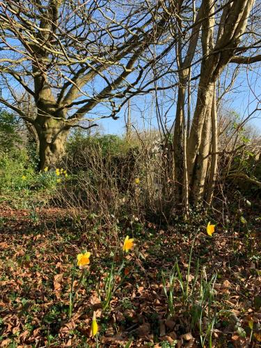 Pontyclerc Farm House Bed and Breakfast