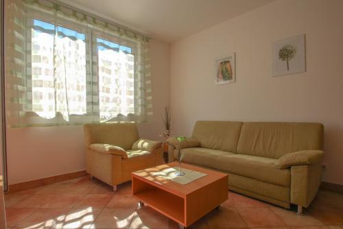  Erminio, Pension in Novigrad