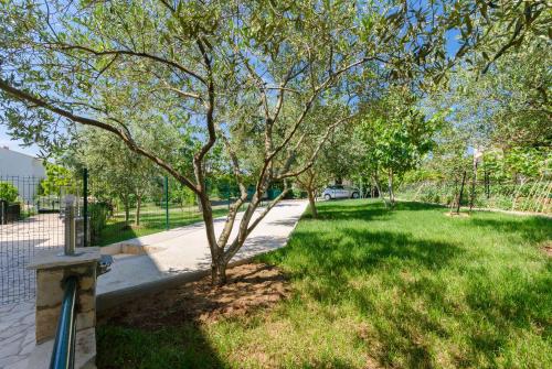 Apartments Dragutin - image 12