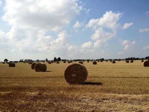 STF Baskemölla Hostel - image 10