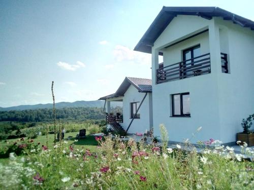 Accommodation in Suceava