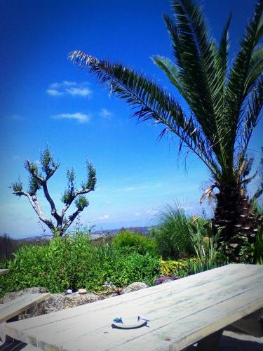  Toca da Raposa in Casal