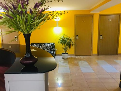 Davidov Inn - main image