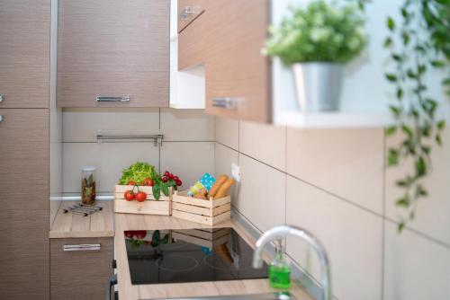 Green Residence - image 2