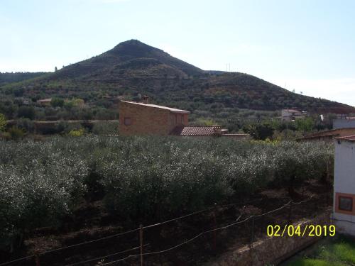 Casa Rural Altozano Elche de la Sierra