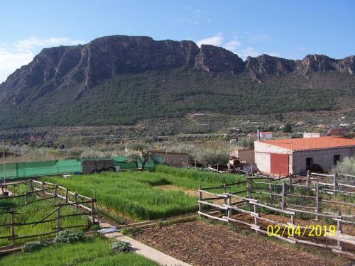 Casa Rural Altozano Elche de la Sierra