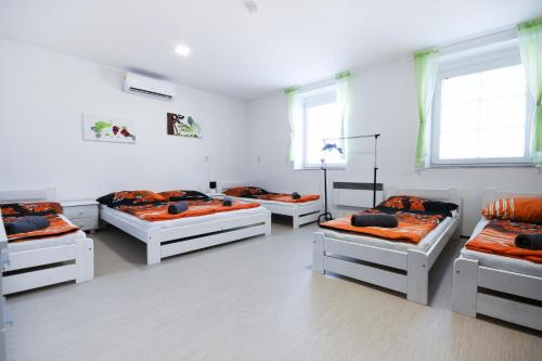 6-Bed Mixed Dormitory Room