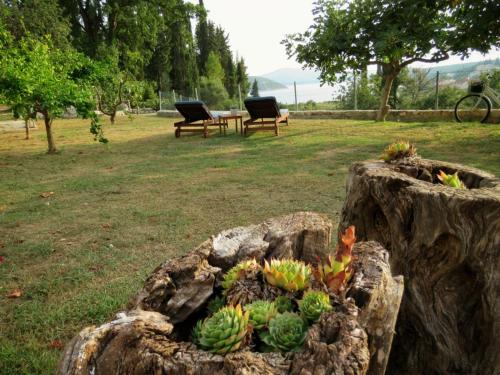 Vila Mozara – Slano, 