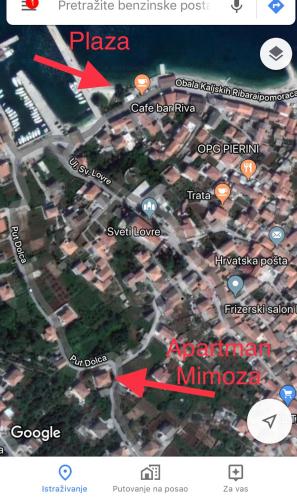 Mimoza, Kali (photo 2)