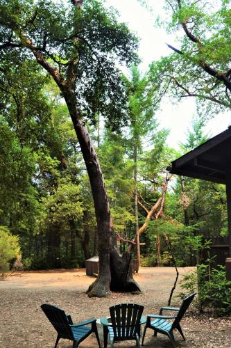 Redwoods River Resort & Campground Redwoods River Resort & Campground