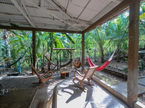 Hammock plantation