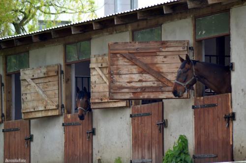 Stajnia Lisewo in Lisewo