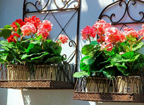Boutique Hotel Kentrikon & Bungalows - main image