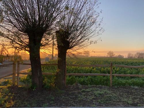  ´T Wolvennest in Heuvelland