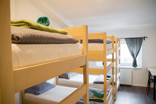 Bed in 6-Bed Dormitory Room