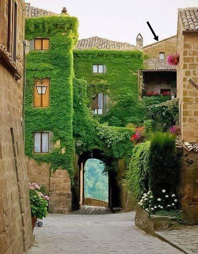  Gerani Rossi in Bagnoregio