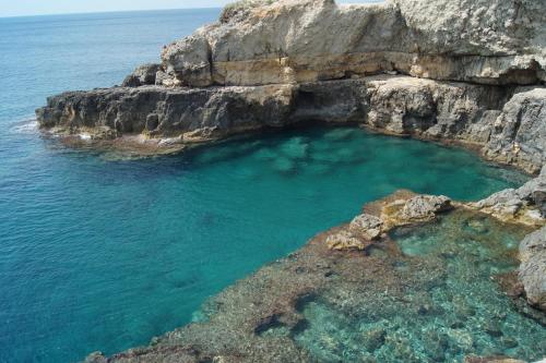 SALENTO POP ART SALENTO POP ART